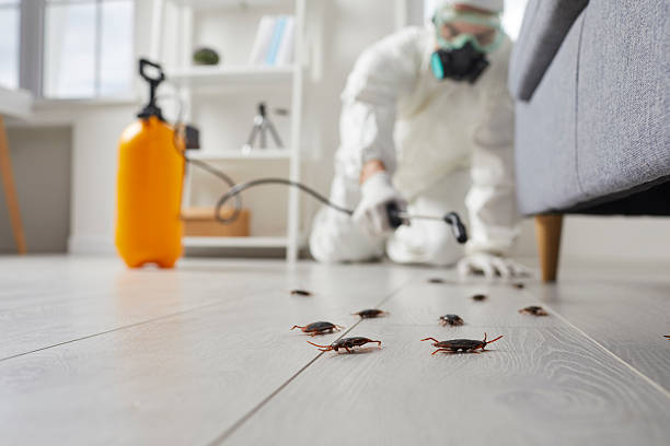 Trusted Cockroach Control service in Smyrna, GA - Nex Pest Control