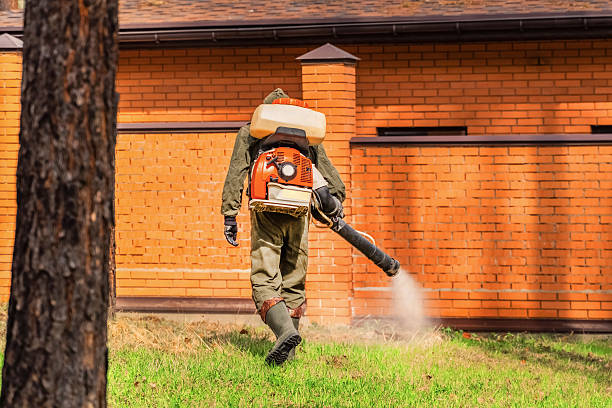 Trusted Bed Bug Control service in Smyrna, GA - Nex Pest Control